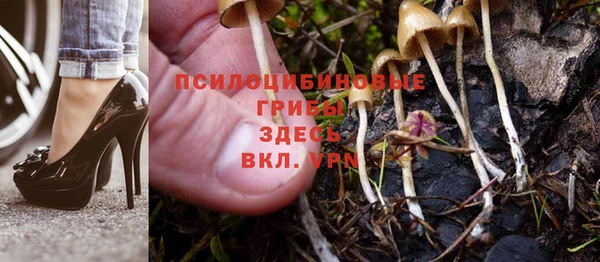 скорость Абинск