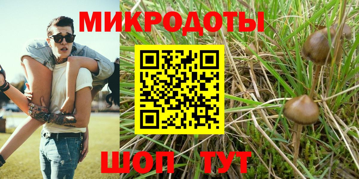 Галлюциногенные грибы мухоморы Егорьевск