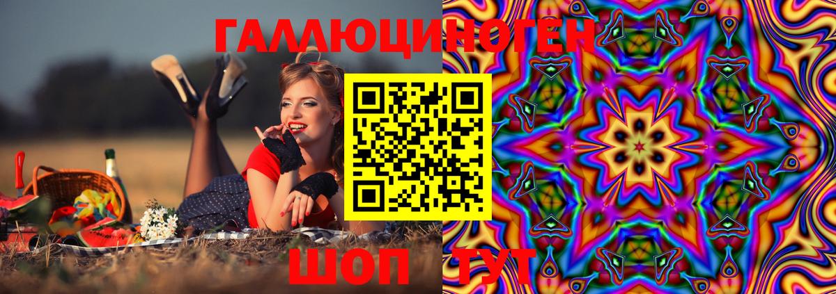 Егорьевск  Псилоцибиновые грибы Cubensis  Вход с VPN  Псилоцибиновые грибы Cubensis 