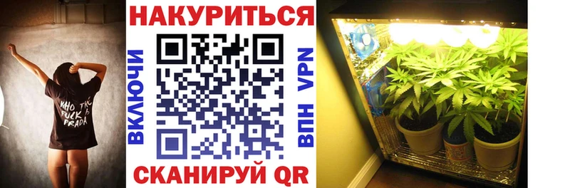 Бошки Шишки марихуана  где продают наркотики  Егорьевск 